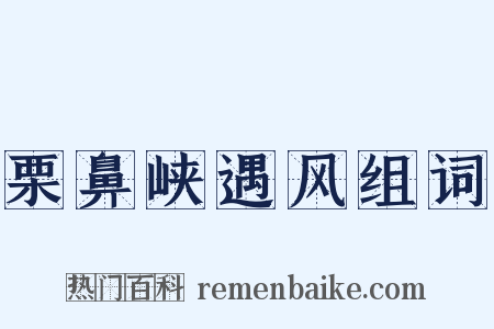 栗鼻峡遇风组词是什么意思的图片